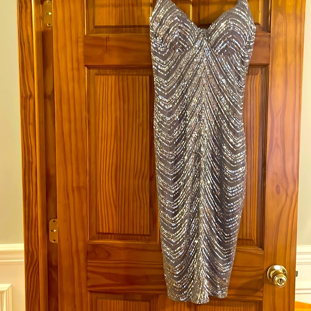Express silver dress